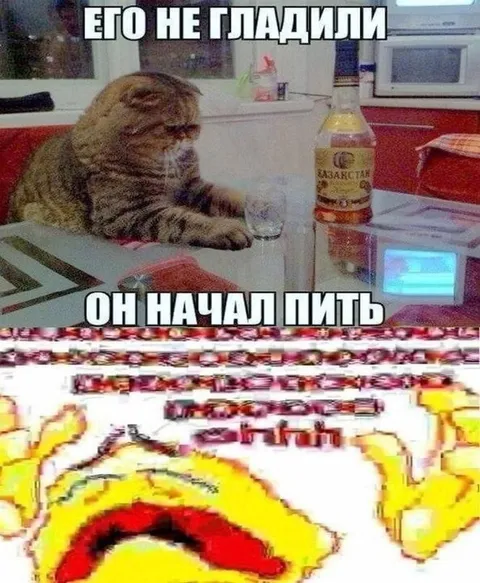 Его не гладили, он начал пить