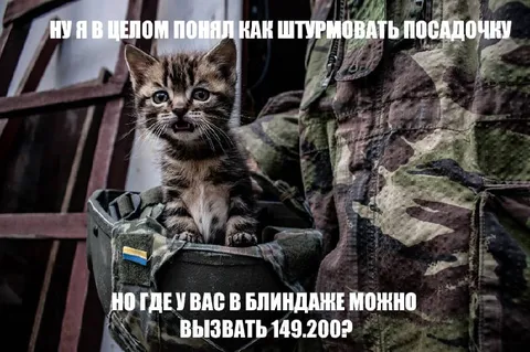 Кот штурмует посадочку