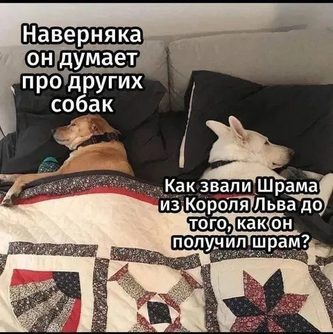 Шрам до того, как получил шрам