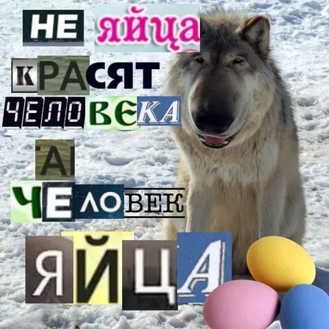 Не яйца красят человека