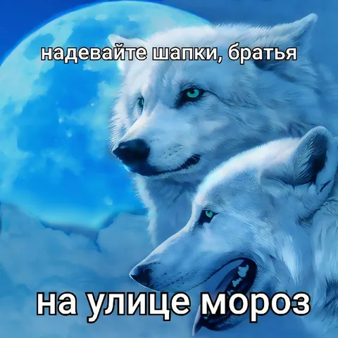 Надевайте шапки, братья