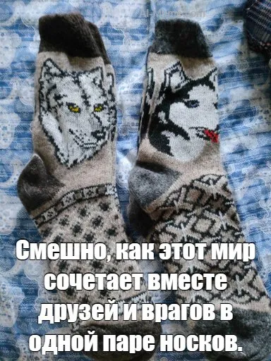 Носки друзей и врагов