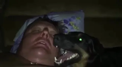 Собака не даёт уснуть