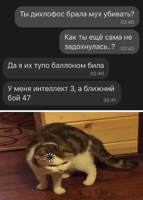 Интеллект 3, ближний бой 47