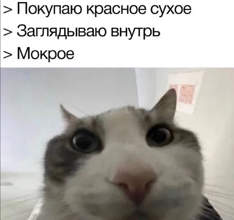 Проверяю красное сухое