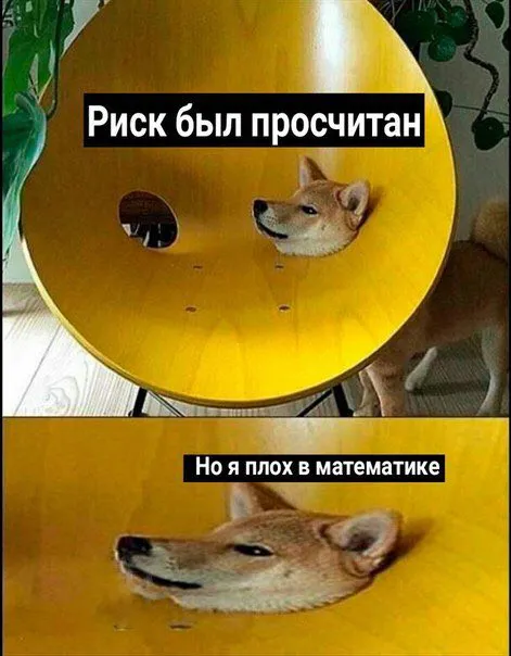 Риск был просчитан, но математика подвела