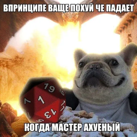 Французский бульдог бросает кубик