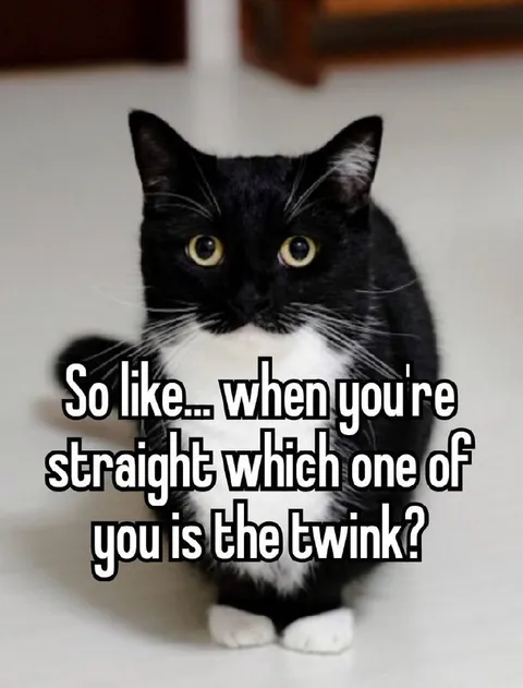 Which One of You Is the Twink?