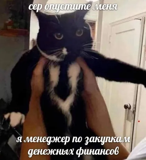 Менеджер по закупкам денежных финансов
