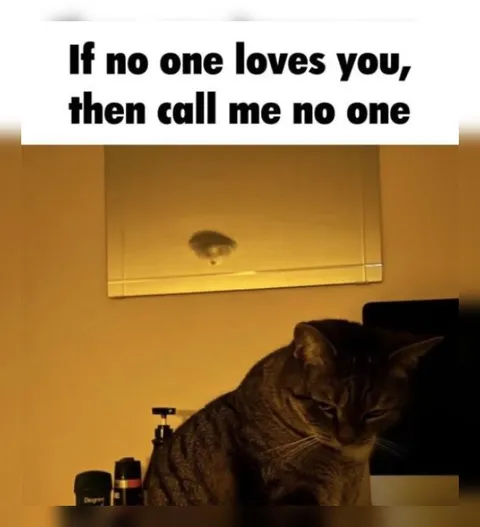 No One Loves You Cat