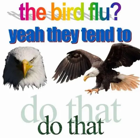 The Bird Flu Do That