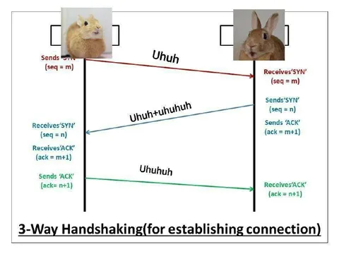 Rabbit Three-Way Handshake