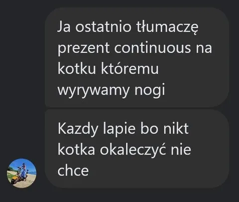 Kotku, któremu wyrywamy nogi