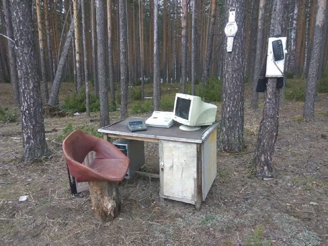 Офис посреди леса