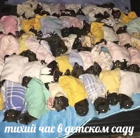 Тихий час в детском саду