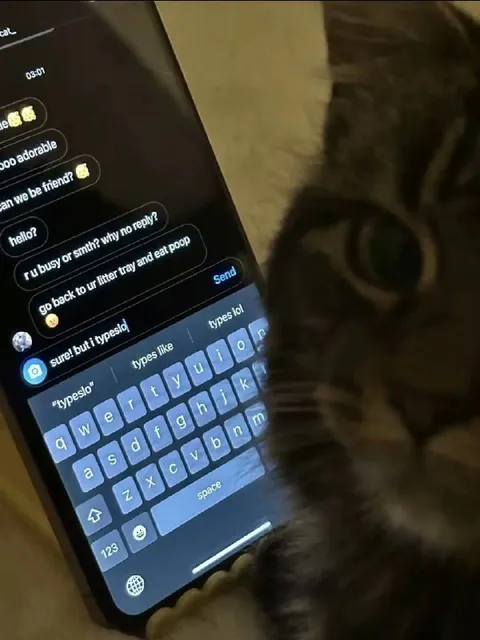 Cat Ignores Text Messages