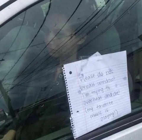 Please Do Not Break Window