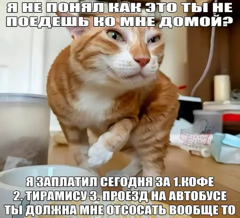 Кот требует оплату за кофе