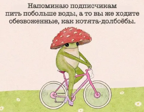 Обезвоженные котята-долбоёбы