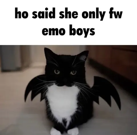 Emo Bat Cat