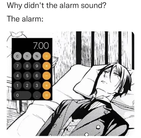 Calculator Alarm Fails