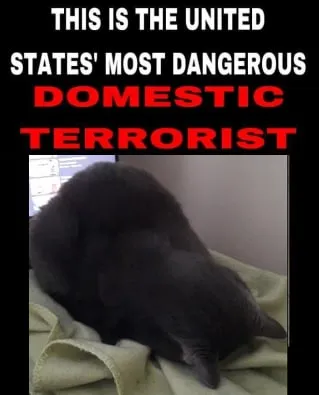 Most Dangerous Domestic Terrorist