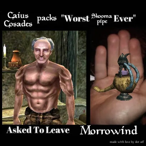 Caius Cosades' Worst Skooma Pipe