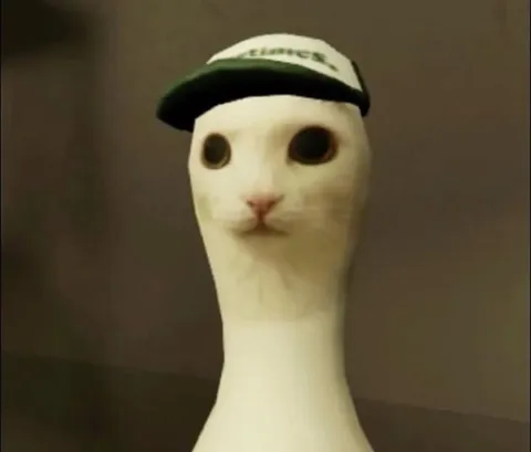 Long-Neck Cat in a Cap