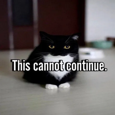 This Cannot Continue Cat