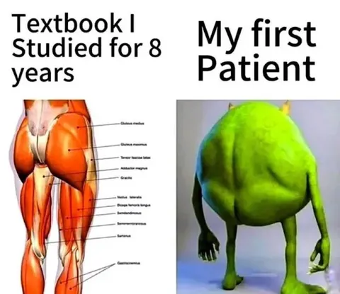 Studied Anatomy, Met Patient