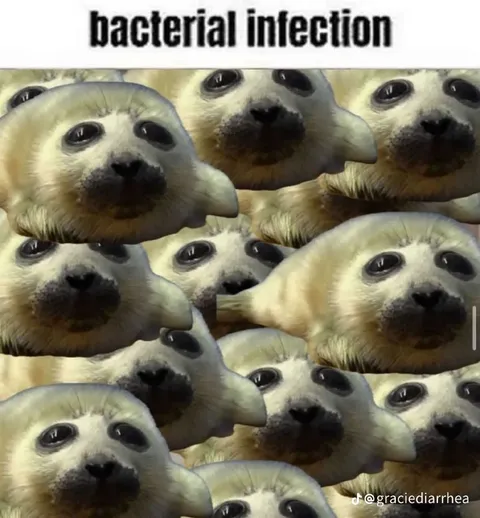 Bacterial Infection Seal Faces