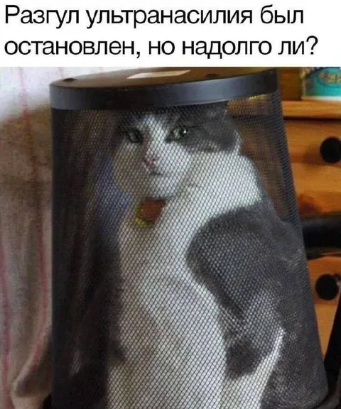 Разгул ультранасилия остановлен