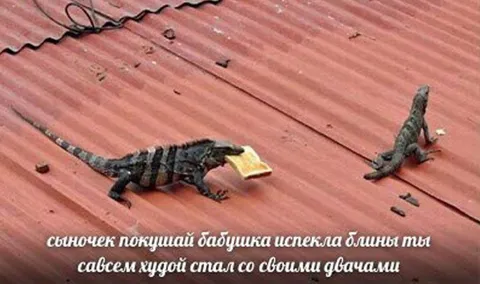 Сыночек, покушай блины