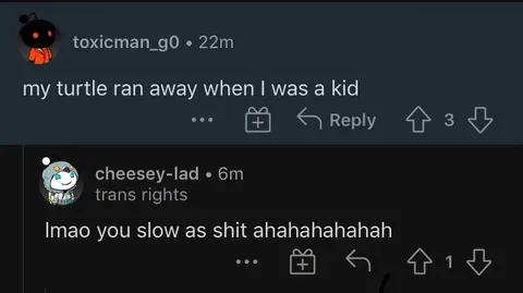 Slow Turtle Roast