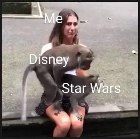 Disney Holding Star Wars