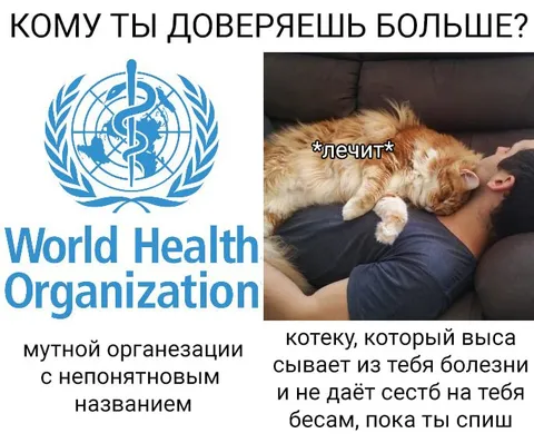 Кому ты доверяешь больше?
