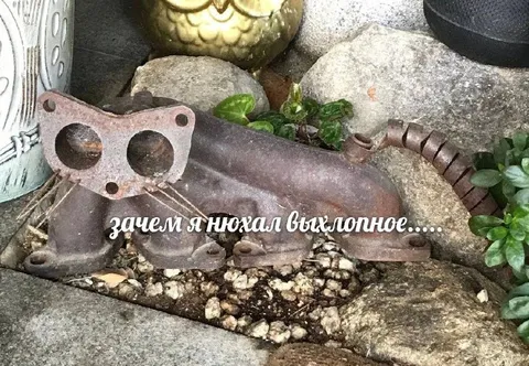 Зачем я нюхал выхлопное