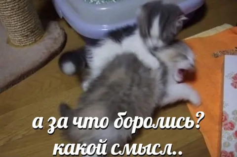 А за что боролись?