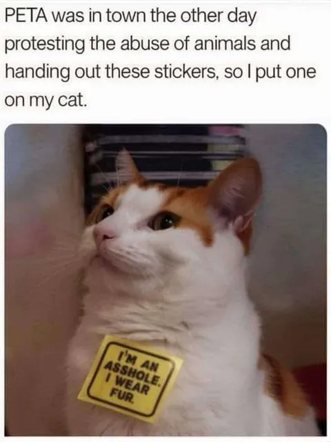 Cat Wearing an Anti-PETA Sticker