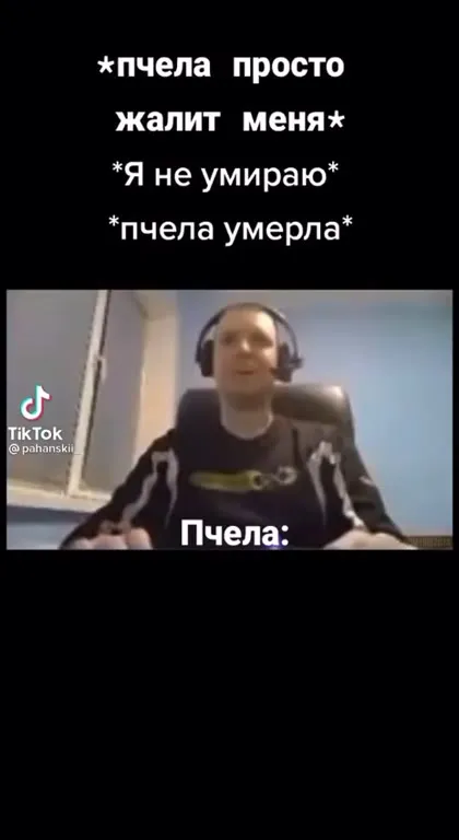 Пчела просто жалит меня