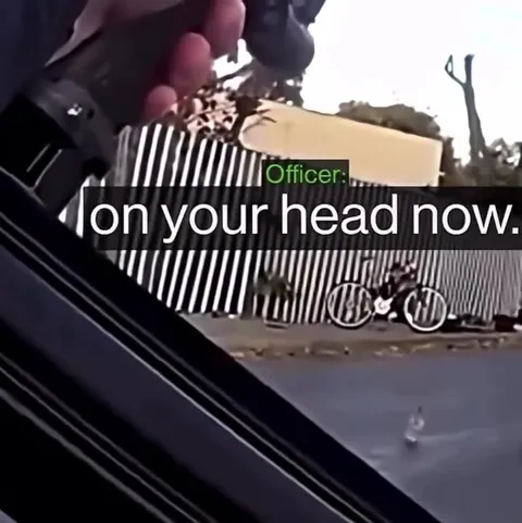 Officer Arrests a Kitten