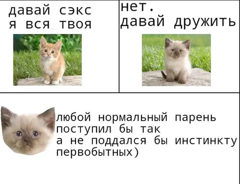 Давай дружить вместо секса