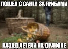 С Санёй за грибами на драконе