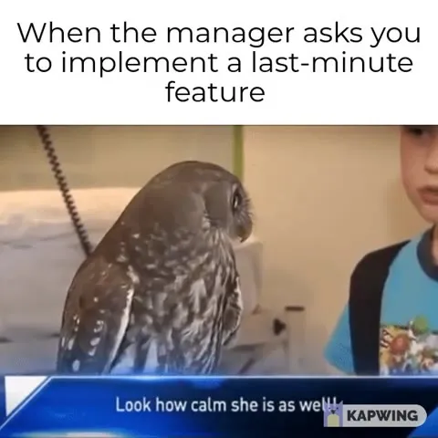 Last-Minute Feature Owl