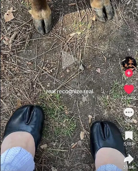 Real Recognize Real Hoof Shoes
