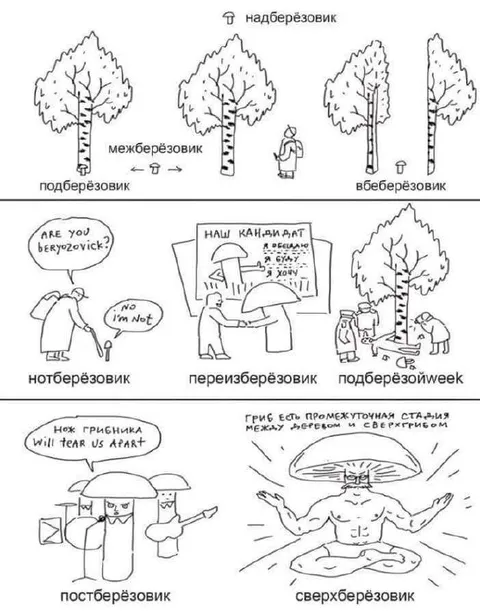 Эволюция подберёзовика