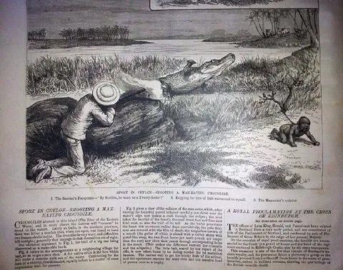 Shooting a Man-Eating Crocodile