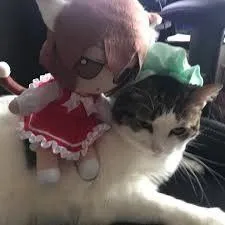 Кукла обнимает кота