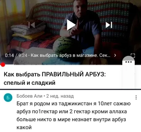 Как выбрать правильный арбуз
