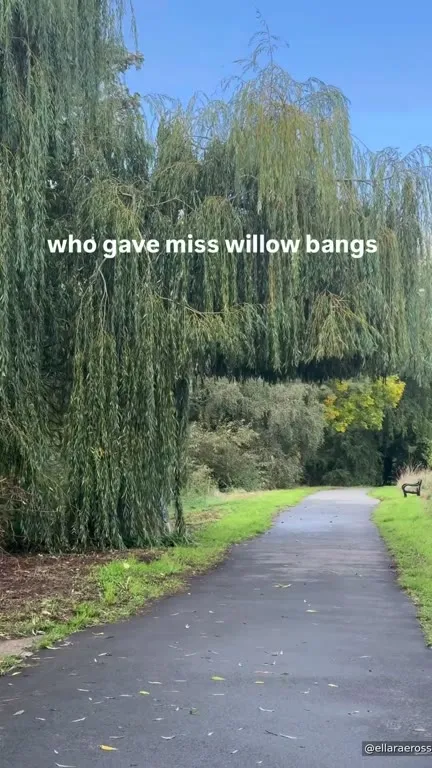 Who Gave Miss Willow Bangs